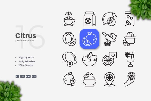 Citrus Icons: A Modern Solution for Clean and Versatile Design